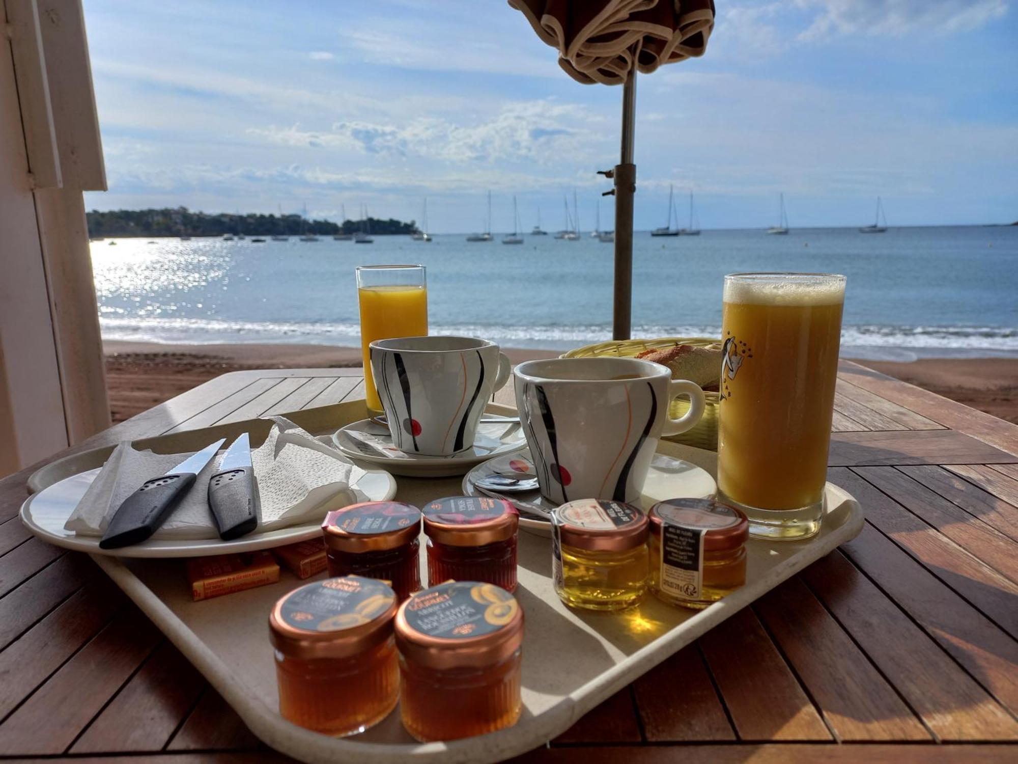 Port Frejus - Tout A Pied - Wifi - Clim Bagian luar foto